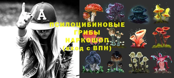 ALPHA-PVP Алексеевка
