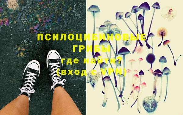 сатива Алексин